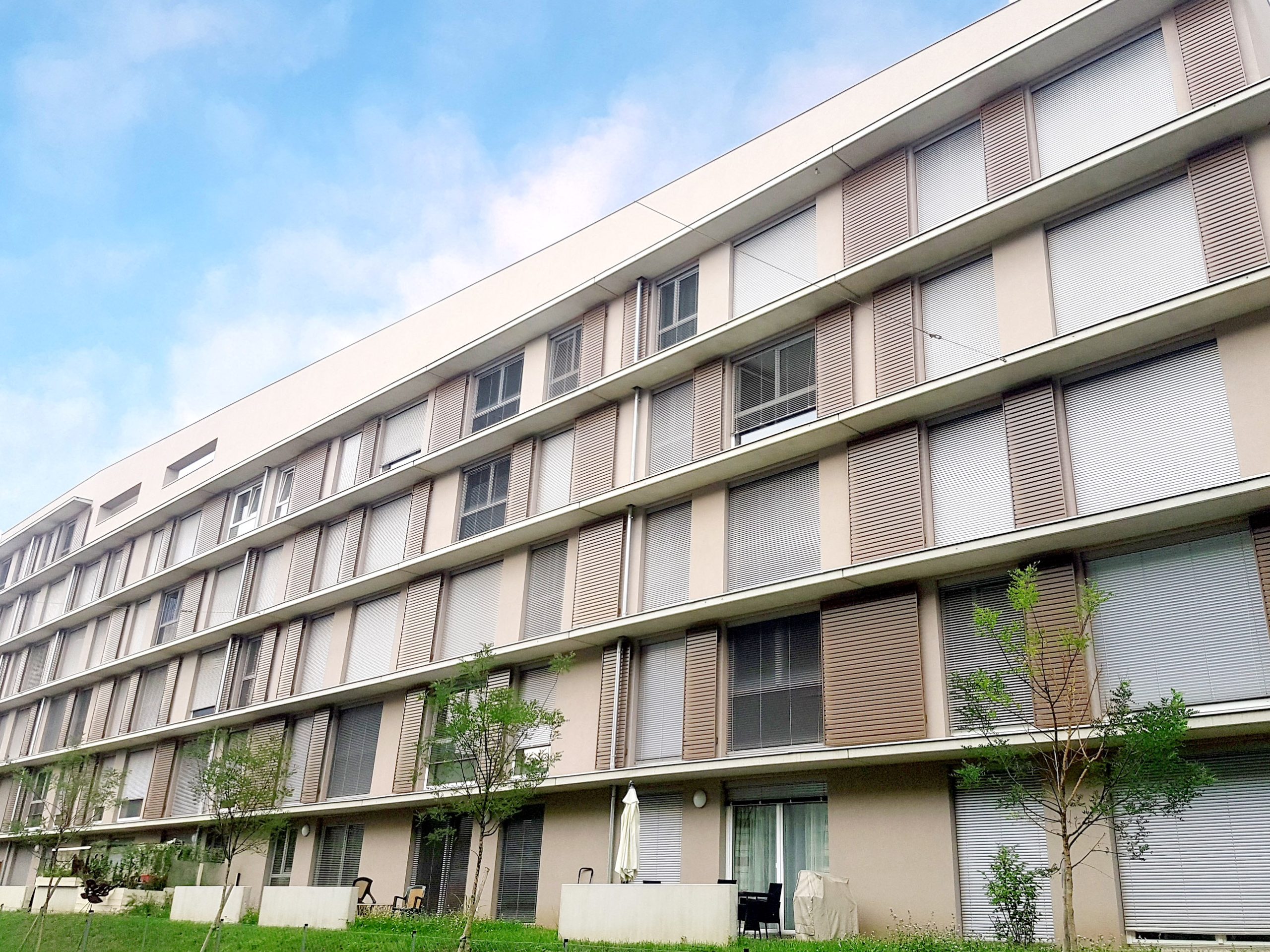 Mehrgeschossige Gebäudefassade mit Fensterreihen, horizontalen Bändern und Kletterpflanzen
